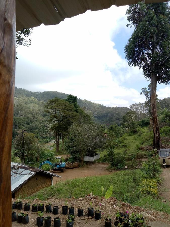 Ohiya Jungle Resort Екстериор снимка